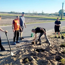 Nowe drzewka przy remizie OSP.  Zielona przestrzeń